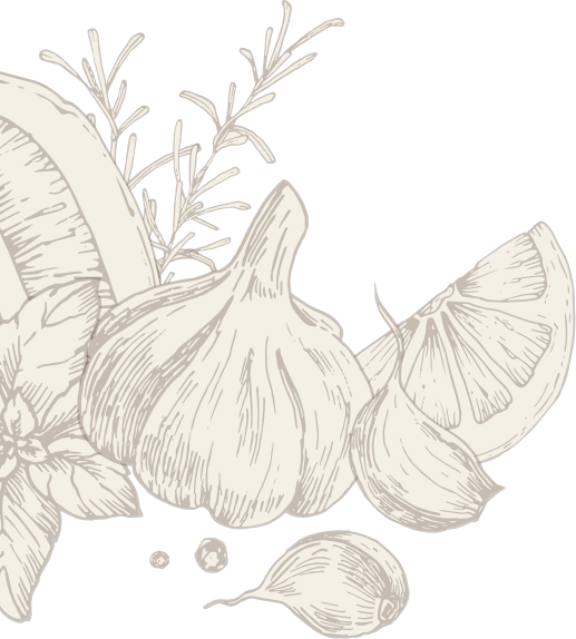 Garlic and herbs botanical illustration